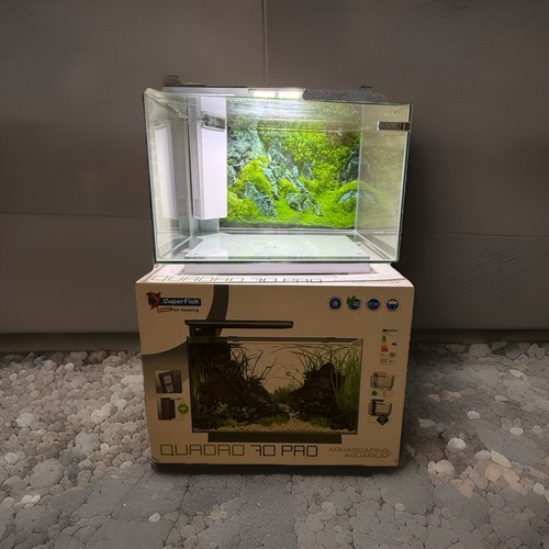 Superfish quadro pro - superfish, 70