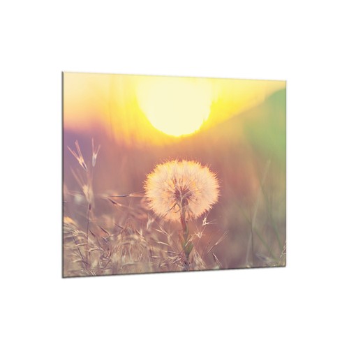 Küchenrückwand glas 65x60 - küchenrückwand,