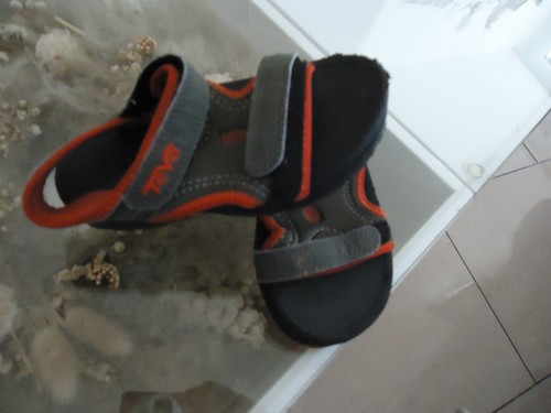 Kinder sandalen teva top - kinder,