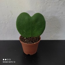 @//(◕‿◕)\@ ANGEBOT 