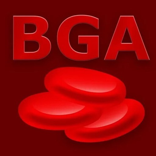 Blutgasanalyse der - blutgasanalyse, in