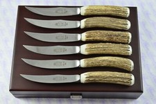 6 sechs echte Steakmesser mit Hirsch-/Geweihgriff Sheffield England im Etui