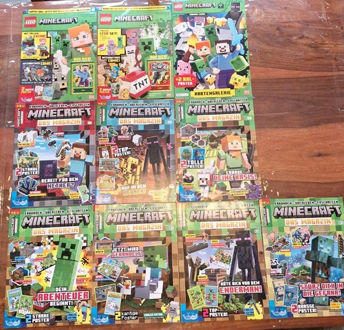 Lego minecraft - lego, 10