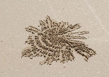 Kunstfoto auf Leinwand