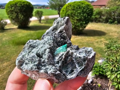 Alpines kleinstüfchen - alpines,