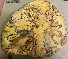 Baumscheibe, Holzscheibe