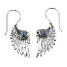 Edle Abalone Perlmutt Muschel