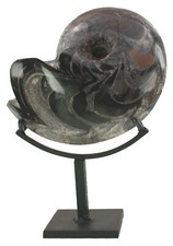 Devon  Ein sehr großer