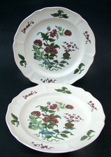 ZWEI Wedgwood Mandarine TK441