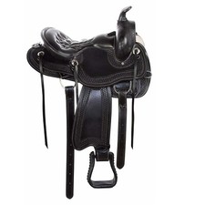 Black Gaited Western Pleasure