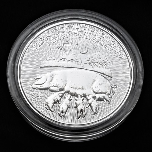 Lunar 2019 schwein pig - lunar,