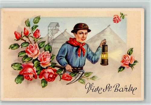 10153588 vive ste barbe - vive,