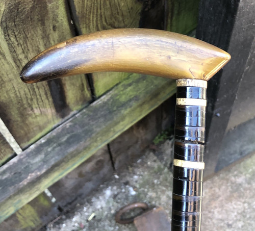 Antiker gehstock schottisches - antiker,