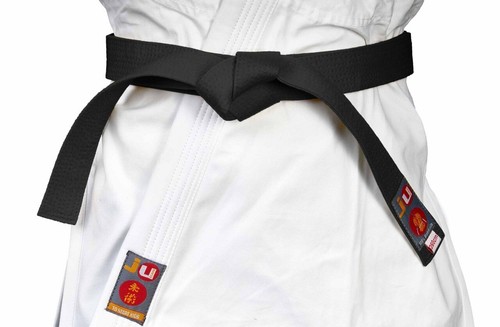 Budogürtel einfarbig judo - einfarbig,