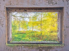 Leinwand Bild 80x60cm Herbst Foto mit bunten Blättern Ruhe am See Fensterblick