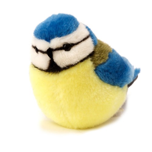 Blau tit von - blau, kösen