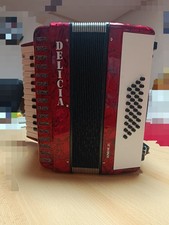 Delicia Junior 21 Akkordeon