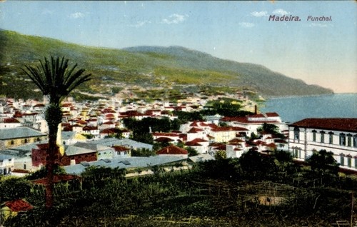 Funchal insel madeira - funchal,