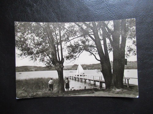 Buckow schermützelsee - ak,