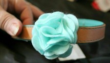 Hunde Halsband grün braun M