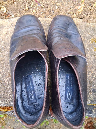 Cordani leder monkstrap - cordani,