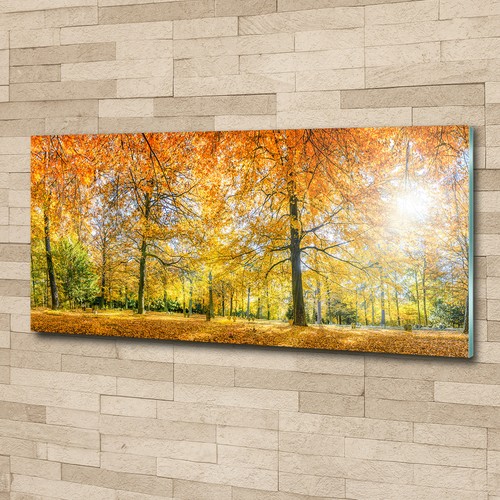 Glas bild wandbilder - wandbilder, druck