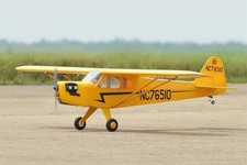 Black horse piper cub - cub, /