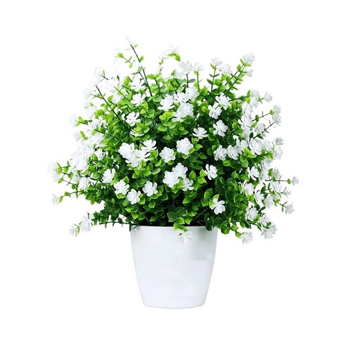 Weiße kamelie blume - kamelie,