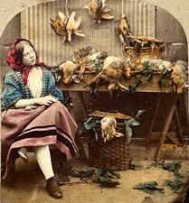 Genre Szene Und Stillleben