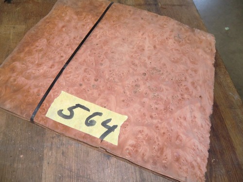 564 wurzelholz maserfurnier - ,
