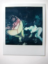 N. ARAKI: ORIGINAL POLAROID "COLLAGE" HANDSIGNIERT MIT ZERTIFIKAT RAR!