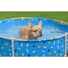 Bestway® Hunde Pool Ø122 x