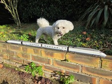 ho elektrozug TGV ave mehano