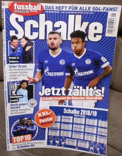 Schalke fan fußball - 04,