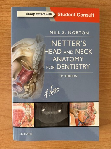 Netter head and - netter,