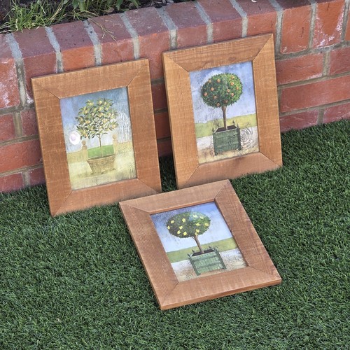 3er set country topiary - set,