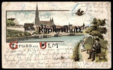 ALTE LITHO POSTKARTE GRUSS AUS ULM Vogel Kind Mann Hut Bowler hat Melone Chapeau