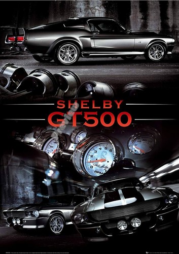 Ford shelby mustang gt500 - shelby,