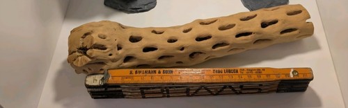 Cholla cactus wood aquarium - ,