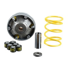 DR / Motorparts Variomatik (für: Piaggio Zip 50 AC DT SSL1T 92-96 )