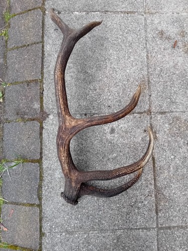 Kapitaler ender 1 6 - kapitaler, kg