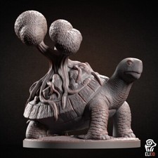 Riesenschildkröte - Eli