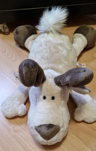 Nici rentier liegend ca - nici,