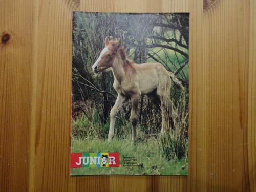 Apotheken zeitschrift junior - apotheken-zeitschrift,