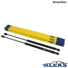 2x Magneti Marelli Kofferraum