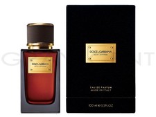 Dolce & Gabbana Velvet