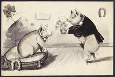 Schweine-Liebespaar drawing