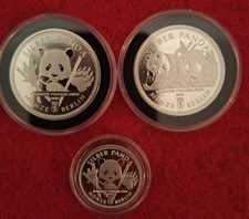 Silber Panda Berlin 2016/2017