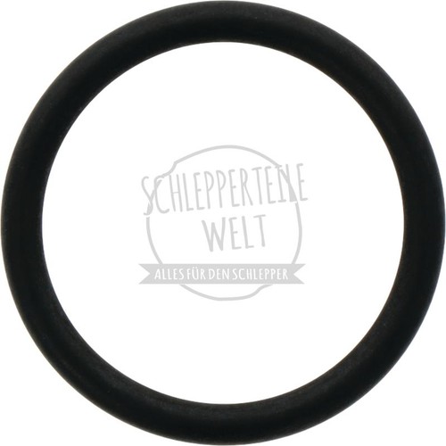 Ring hubwelle - -,