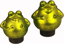 Schwimmfrosch grün glänzend